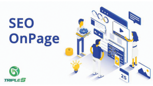 seo onpage