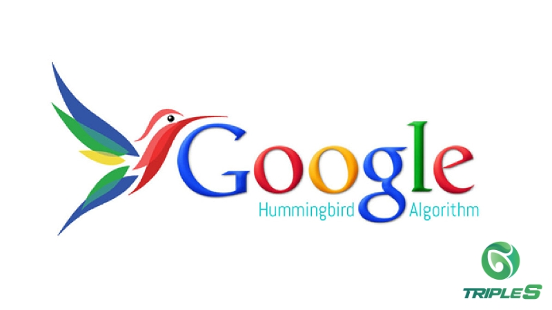 Google Hummingbird – Chú Chim Ruồi khó tính