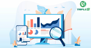 Audit Website