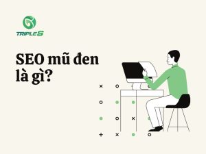 seo mũ đen là gì