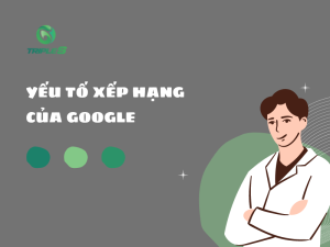 yếu tố xếp hạng của google