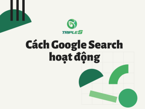 cách google search hoạt động