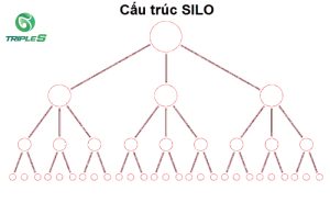 cấu trúc silo