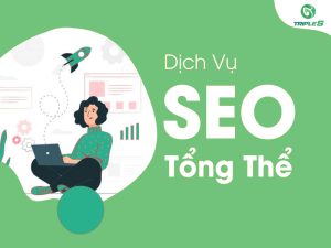 seo tổng thể là gì